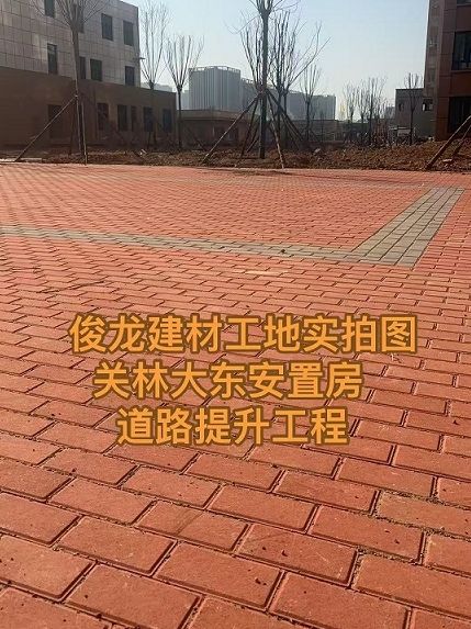 洛陽(yáng)關(guān)林大東安置房 道路提升工程
