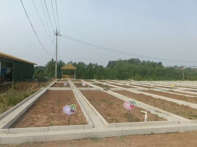 伊川野狐嶺共享菜園